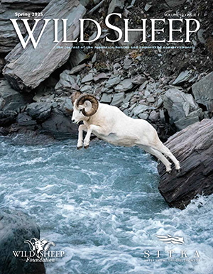 Wild Sheep magazine cover Spring 2025